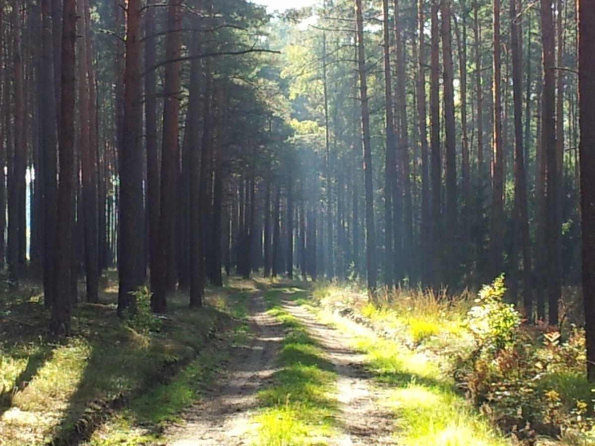 Stawy U Sikory - Dom Rybak - Agroturystyka I Lowisko Nowa Wies  Exterior foto